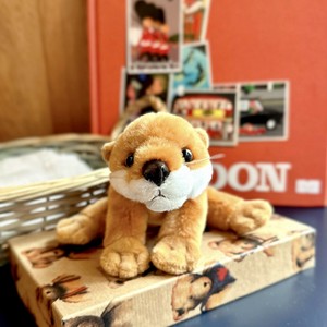 ソフィーワンダーランド カワウソ ブラウン　ぬいぐるみ