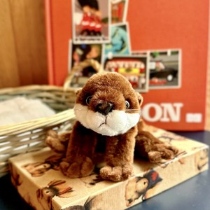 ソフィーワンダーランド カワウソ ダークブラウン　ぬいぐるみ