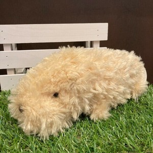 动物/鱼玩偶/毛绒玩具 米色 水豚 S尺寸