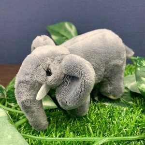 サファリマグネット　ゾウ　ぬいぐるみ