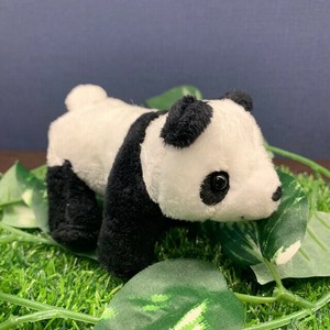 サファリマグネット　パンダ　ぬいぐるみ