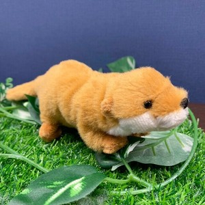 动物/鱼玩偶/毛绒玩具 棕色 水獭