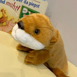 ペンケース　ソフィーワンダーランド　カワウソ　ブラウン　ぬいぐるみ