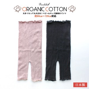 Kids' Underwear Cotton 【2024NEW】 Made in Japan