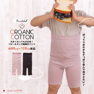 Kids' Underwear Organic Cotton 【2024NEW】 Made in Japan