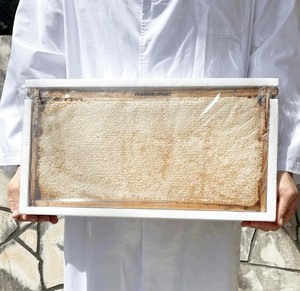 大型 コムハニー レフィル　3kg（内容量：2kg） 巣蜜   Comb Honey
