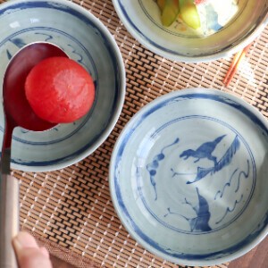 Mino ware Main Plate single item Dinosaur Serving Plate Made in Japan