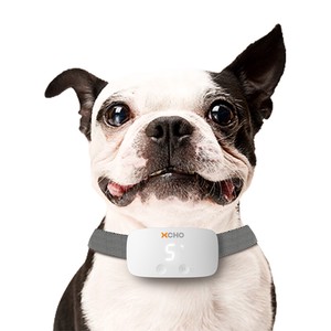 エクスコー　犬用しつけ首輪　バークトレーニングカラー / Training Dog Collar