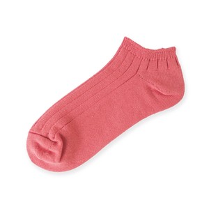 Ankle Socks Socks Ladies' 23 ~ 25cm 2024 Spring/Summer Made in Japan