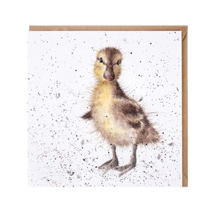 レンデール・デザイン　グリーティングカード　英国製　鳥　野鳥　カモ