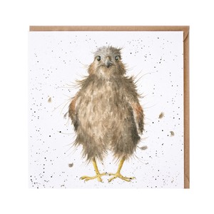 レンデール・デザイン　グリーティングカード　英国製　鳥