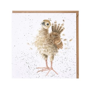 レンデール・デザイン　グリーティングカード　英国製　鳥