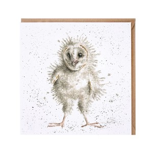 レンデール・デザイン　グリーティングカード　英国製　鳥　野鳥　フクロウ