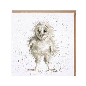 レンデールデザイン　グリーティングカード　英国製　鳥　野鳥　フクロウ