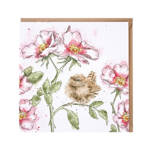 レンデール・デザイン　グリーティングカード　英国製　鳥　野鳥　ミソサザイ