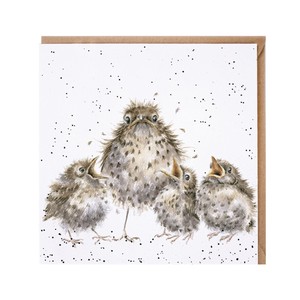 レンデール・デザイン　グリーティングカード　英国製　鳥　野鳥　ミソサザイ
