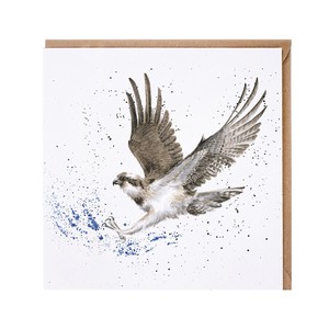 レンデール・デザイン　グリーティングカード　英国製　鳥　野鳥　ミサゴ