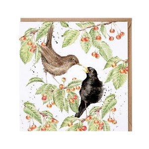 レンデール・デザイン　グリーティングカード　英国製　鳥　野鳥　黒ウタドリ