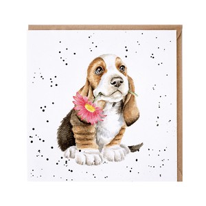 レンデール・デザイン　グリーティングカード　英国製　犬　バセットハウンド