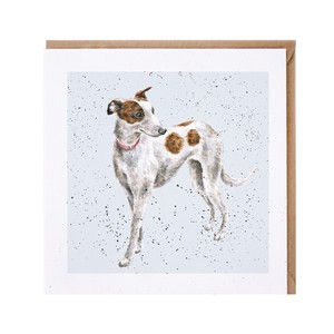 レンデール・デザイン　グリーティングカード　英国製　犬　ウィペット