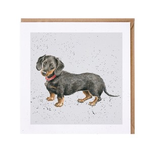 レンデール・デザイン　グリーティングカード　英国製　犬　ダックスフント