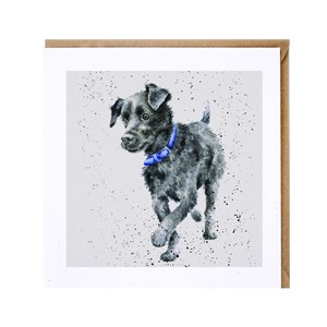 レンデール・デザイン　グリーティングカード　英国製　犬 パタデール・テリア