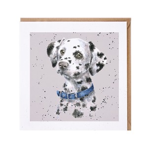 レンデール・デザイン　グリーティングカード　英国製　犬 ダルメシアン