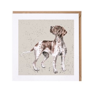 レンデール・デザイン　グリーティングカード　英国製　犬　ポインター