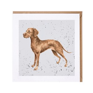 レンデール・デザイン　グリーティングカード　英国製　犬　ショートヘアード・ハンガリアン・ビズラ