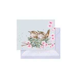 レンデール・デザイン　グリーティングカード　ミニカード　メッセージ　英国製　ミソサザイ　桜　鳥