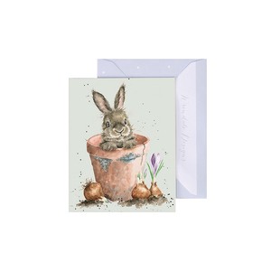 レンデール・デザイン　グリーティングカード　ミニカード　メッセージ　英国製　ウサギ