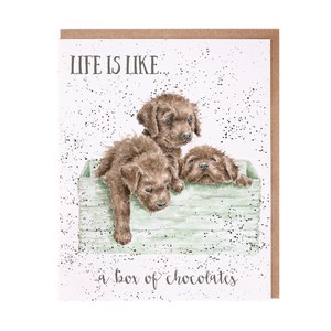 レンデール・デザイン　グリーティングカード　　英国製　ラブラドール　子犬　犬
