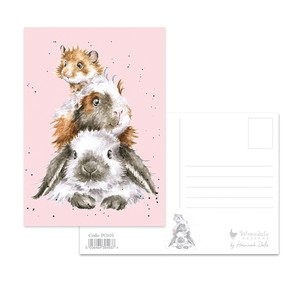 レンデール・デザイン ポストカード　動物　英国製　小動物　ネズミ　モルモット　ウサギ