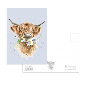 レンデール・デザイン ポストカード　動物　英国製　ハイランド牛　牛
