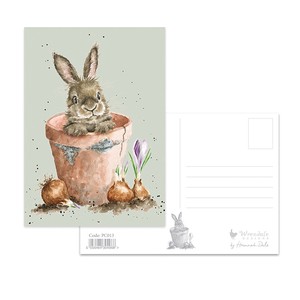 レンデール・デザイン ポストカード　動物　英国製　ウサギ　ポット