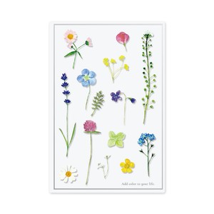 日本製　多目的 透明カード：押し花