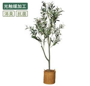 Artificial Plant 120cm
