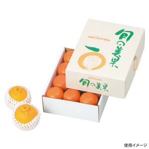 ギフト箱 L-2098 旬の美果(小) ヤマニパッケージ