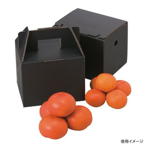 ギフト箱 L-2061 美果2?s ヤマニパッケージ