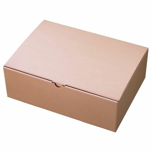 ギフト箱 無地シャンパンピンクギフトボックス-L1(10枚) ヘッズ