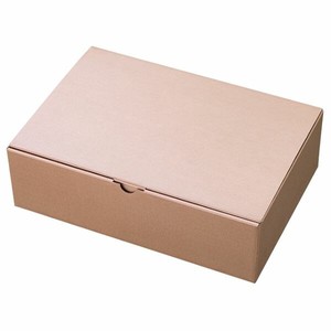 ギフト箱 無地シャンパンピンクギフトボックス-1(10枚) ヘッズ