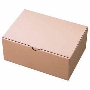 ギフト箱 無地シャンパンピンクギフトボックス-2(10枚) ヘッズ