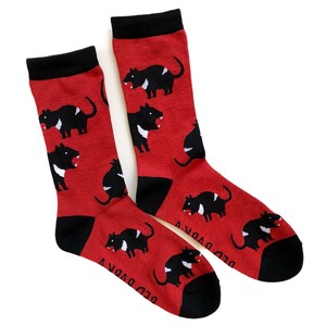 Pre-order Socks Red Socks
