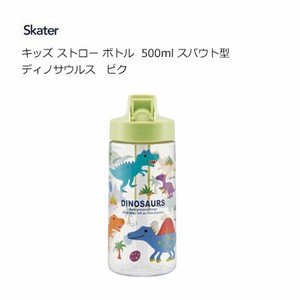 Water Bottle Skater Kids 500ml