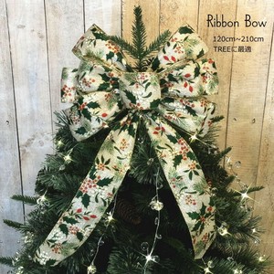 Pre-order Store Material for Christmas