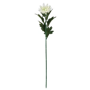 【2024年AW新作】山科菊 ホワイト 花径8×L59cm  FM0F4050-001