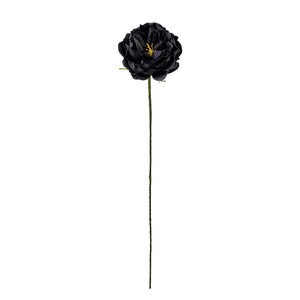【2024年AW新作】アミュゼミディローズ ブラック 花径6×L28cm  FW090181-020