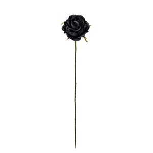 【2024年AW新作】アミュゼプティローズ ブラック 花径4．5×L28cm  FW090182-020