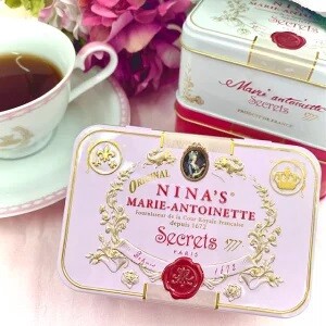 フランスの有名紅茶専門店　NINA'S(ニナス) Royal box for tea ティーバッグ缶