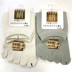 短袜 丝绸 网眼 日本制造